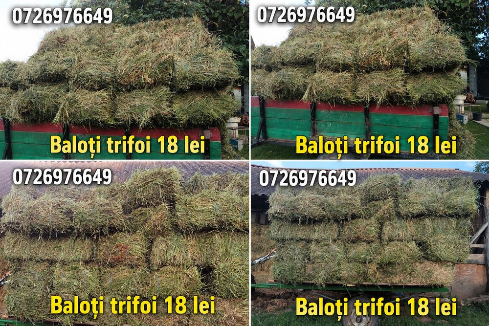 Vând baloți trifoi coasa întâia și a doua 400 baloti