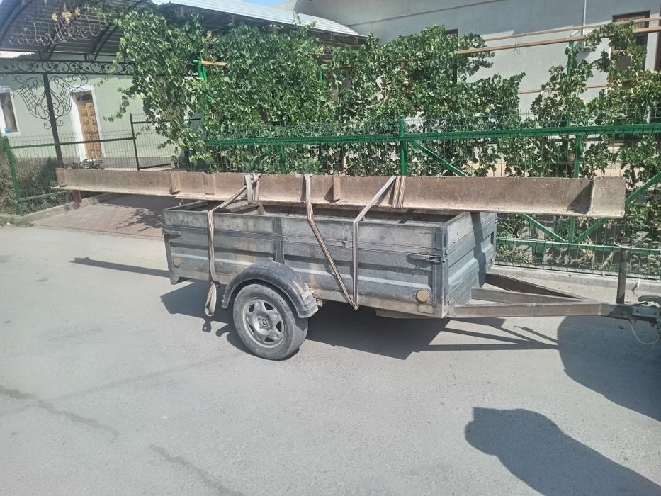 Двухтавр шивиллер