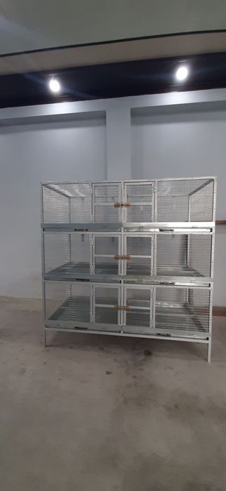 Qushlar uchun qafaslar