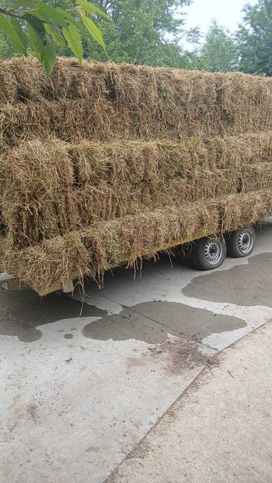 Baloti lucerna preț avantajos Gălănești