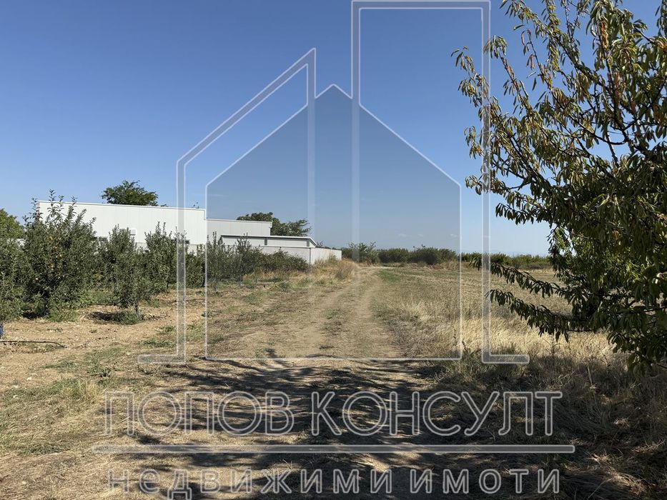 Продава се Парцел в с. Брестник, Област Пловдив - 4449 кв.м за 35 €/кв.м - Снимка #1