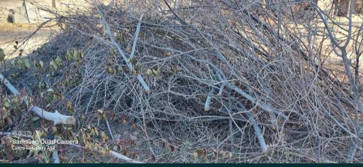 Тезда утин сотилади.