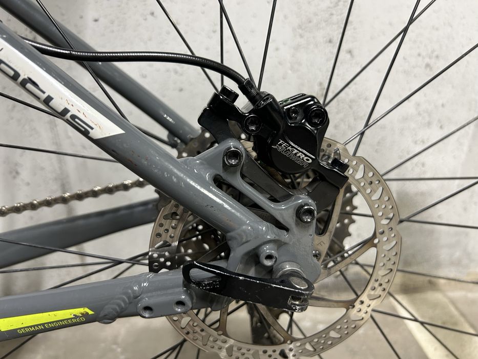 Focus Black Forest LTD-29