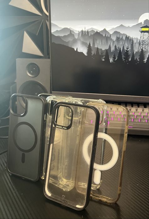 Huse iPhone 13