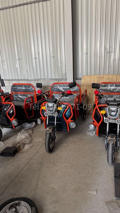 Электрогрузовик Трицикл муравей трудолюбивый 1000 Вт до 300кг