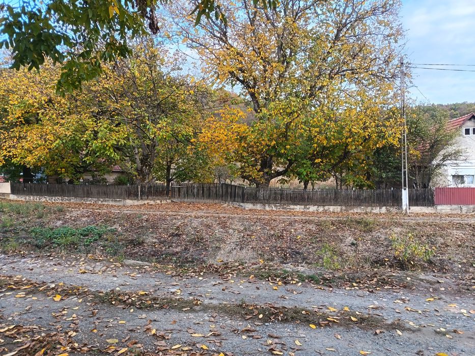 Teren intravilan/loc de casă 7.800 mp-Conop, jud. Arad