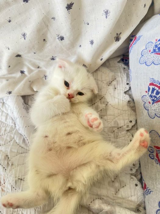 Звоните всё обсудим