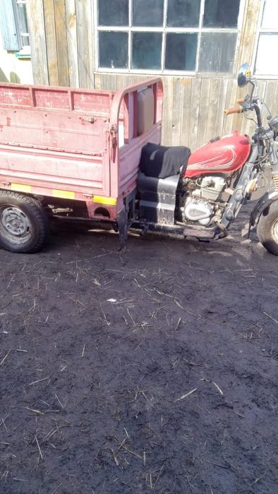 Продам муравей педа