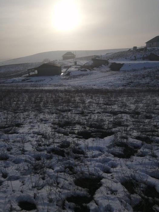 8 соток земли.