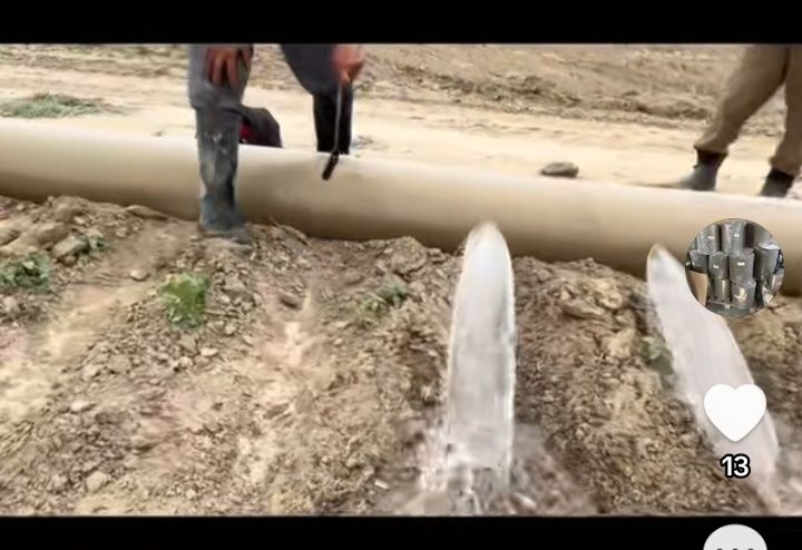 Рукав для полива