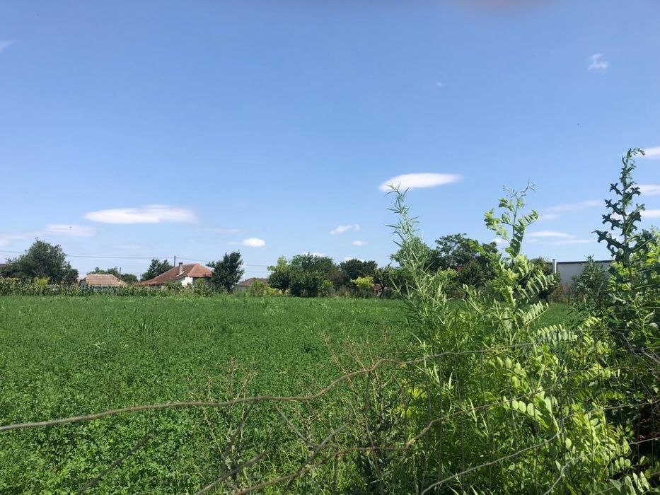 Vand sau schimb casă in Viisoara Constanta.