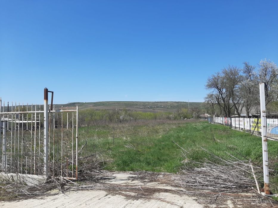 Teren intravilan 15.000 mp – acces dublu asfaltat, jud. Iasi