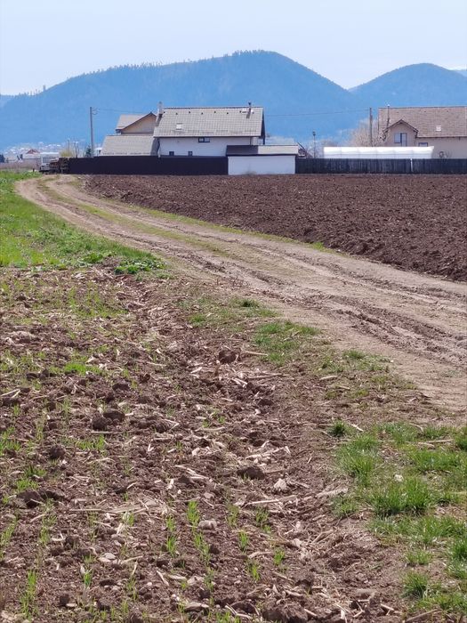 Teren de vanzare UAT Săcele