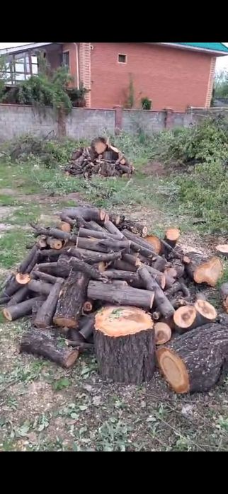 Продам плодовые дрова