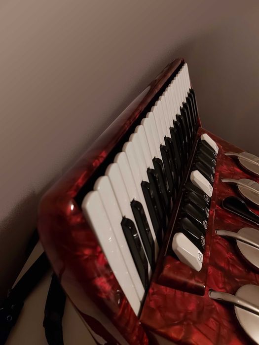 Акордеон Scandalli 96 баса