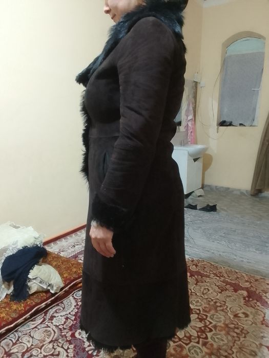 Туретиски диблонка