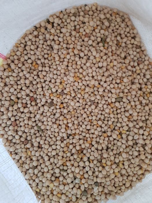 Vând mazăre furajera