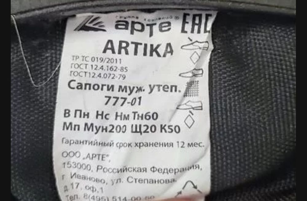 Зимнии сапоги Арктика