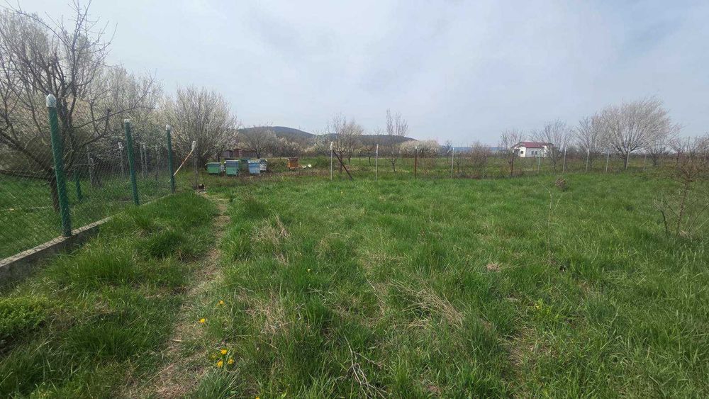 Продава се Парцел в с. Караполци, Област София-област - 1411 кв.м за 31 €/кв.м - Снимка #3