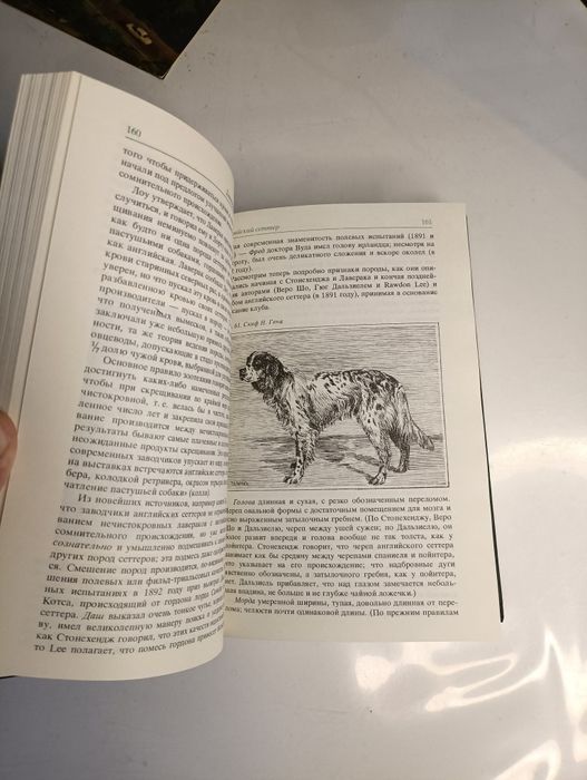Охотничий собаки издания