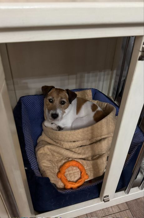 Клетка для небольшой собаки