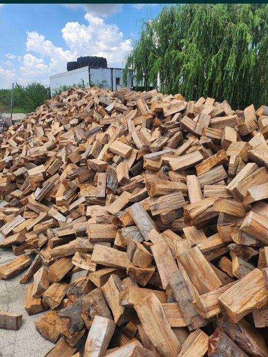 Lemne de foc Oferta Reduceri