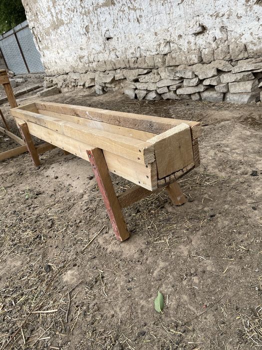 Мал астау бар козыларга