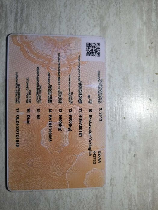 Ekskavator-Yuklagich