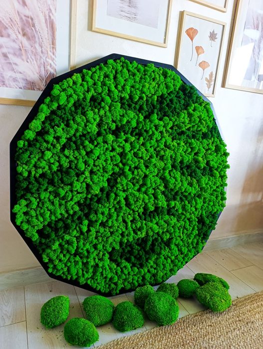 Скандинавски мъх за зелени стени, пана, декорации.