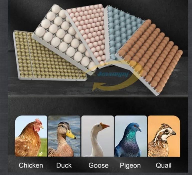 Инкубатор аппаратини оптом нархда харид килинг Шошилинг