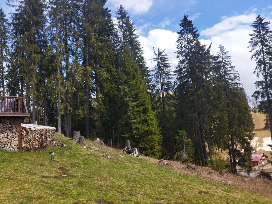 Продава се Парцел в к.к. Пампорово - 4260 кв.м за 140 €/кв.м - Снимка #7