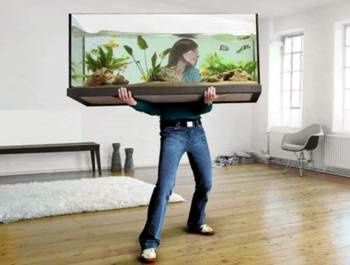 Ремонт и обслуживание аквариумов профессионалами