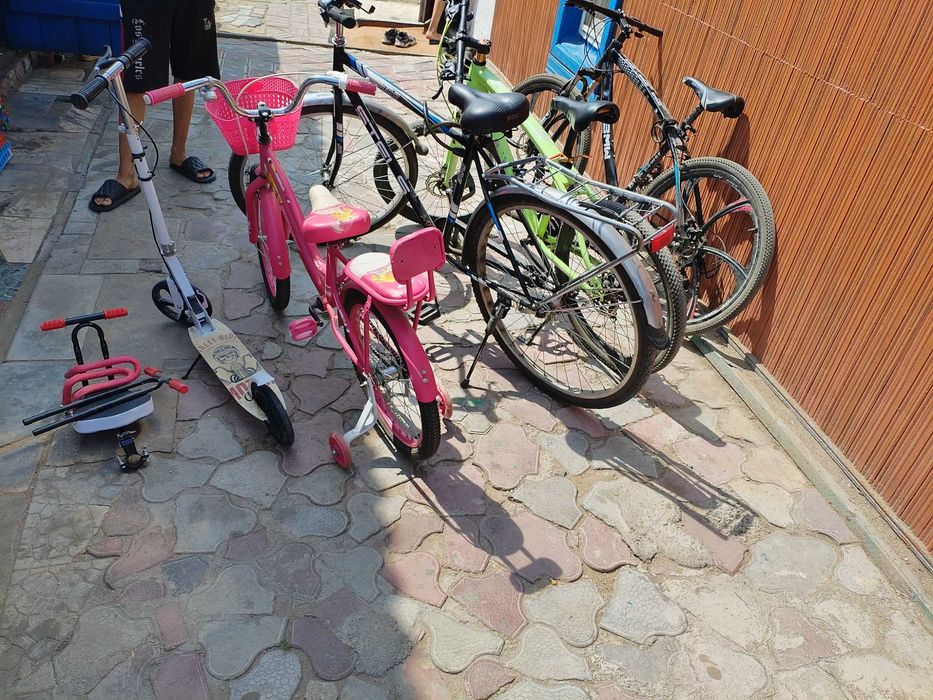 Велики в хорошем состоянии