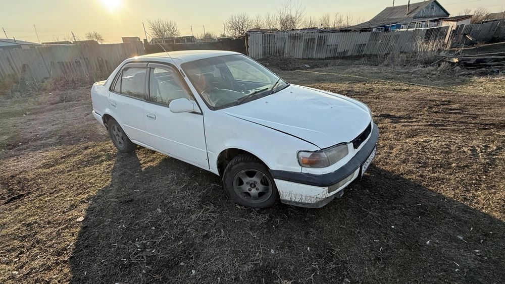 Продам toyota corolla