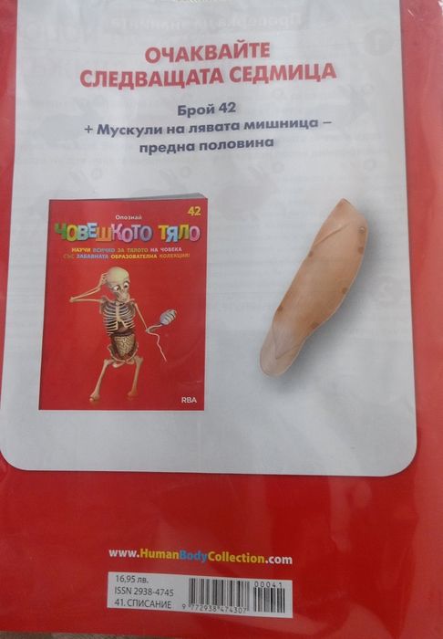 Човешкото тяло 41