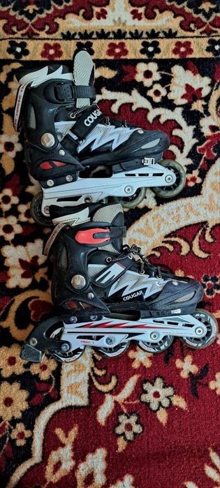 Rolik sotiladi cougar