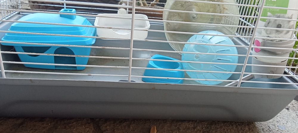 Клетка со всеми удобствами для хомяка