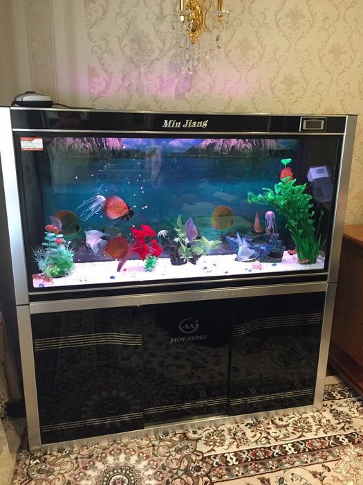 Аквариуми под заказ на любой вкус.