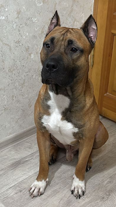 Здравствуйте четкий пацан ищет подругу