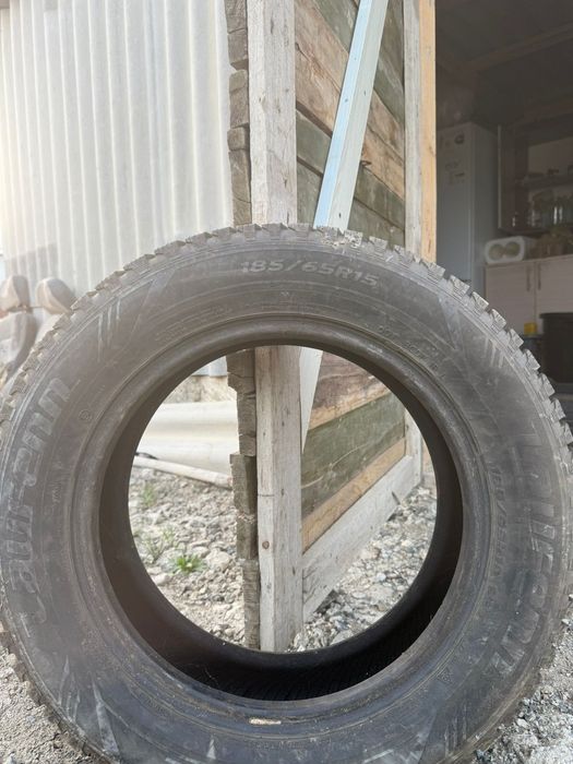 Шины кыскы донгелекк