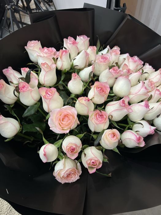 Цветы розы , сегодня только дали