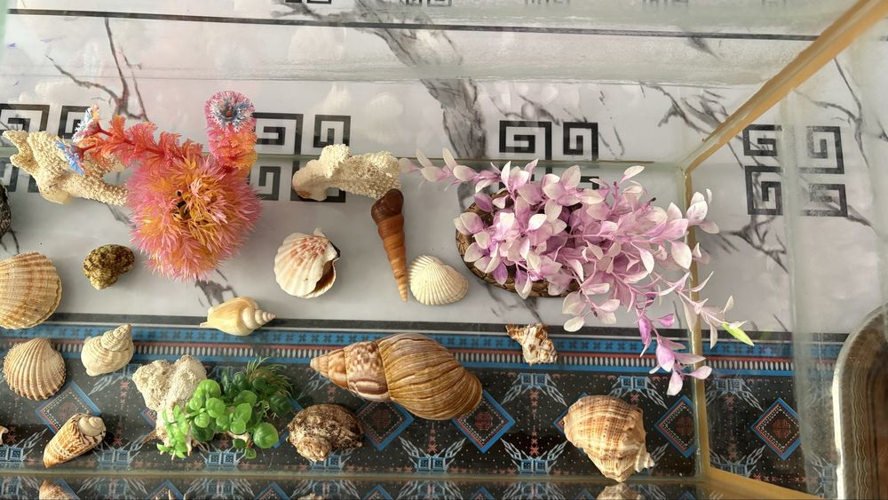 Продам аквариум 45-50лт.