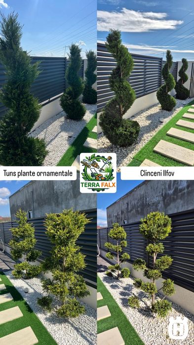 Curățare Teren și Curte, Defrișare, Tuns Iarbă/Gazon/Gard Viu, Toaletare Pomi, Tăiere Copaci, Erbicidare Amenajare Grădina Cosit Iarbă Grădinărit