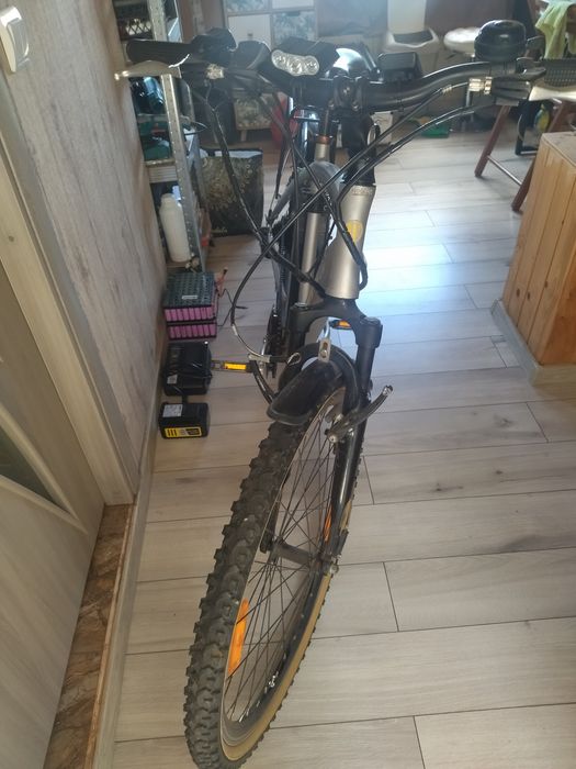 Bicicleta electrica