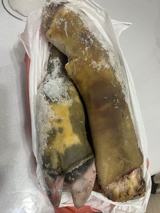 Продается говяжья ножка