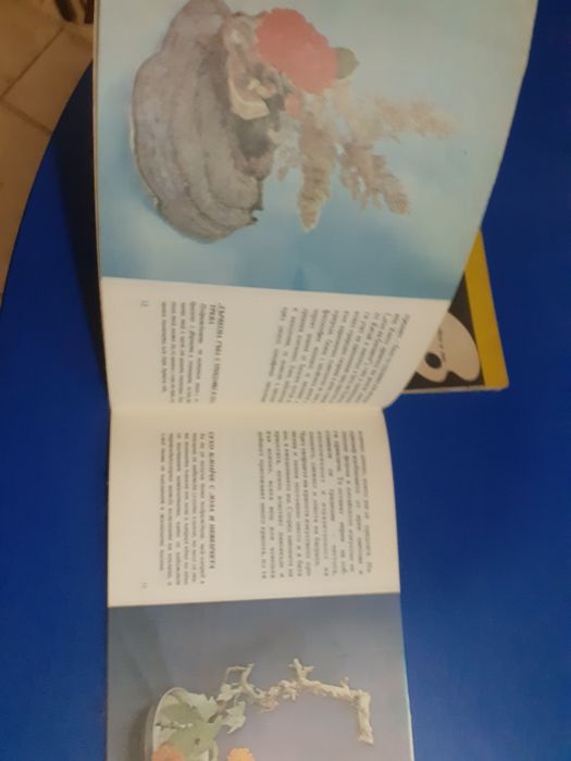 Книги помагала за изкуството  икебана,книга