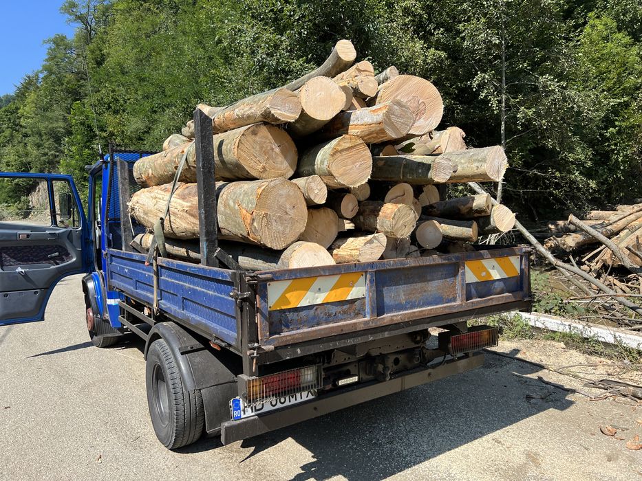 Lemn de foc    Lemne de foc