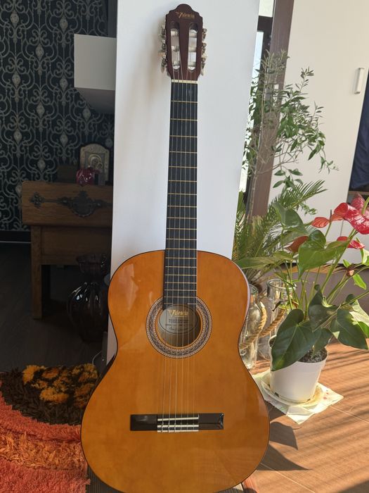 Chitara Valencia VC154+husa