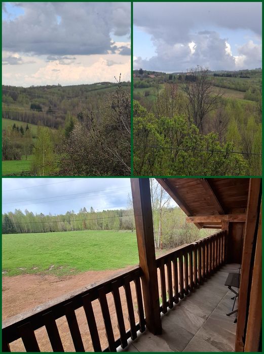 Cabana fara vecini 13 pers ciubar si masa de biliard