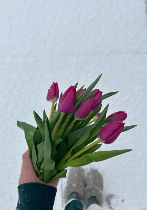 Тюльпаны 600тг. Цветы . Оформлени в подарок